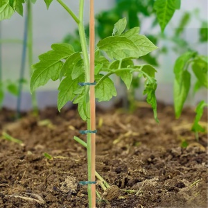 Varetas escoras e tutoramento Varetas escoras e tutoramento