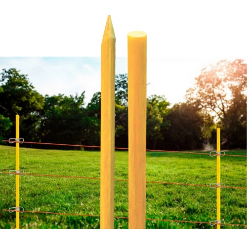 Cerca eletrica de FGRP Cerca eletrica de FGRP